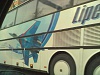     
: Russian Flacons Bus #3.jpg
: 1998
:	186.1 
ID:	3227
