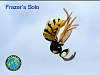     
: BERKUTS-WASP7.jpg
: 2564
:	145.3 
ID:	609